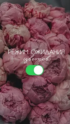 Салон красоты Fresh Style - Совсем скоро долгожданный весенний праздник 8  марта!!!💐💐💐 Мы поздравляем всех девушек с наступающим 8 мартом! И в  честь праздника в нашем салоне действует скидка 20% на все