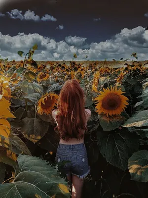 Идеи для фото в подсолнухах | Photo art, Sunflower photography, Sunflower  field photography