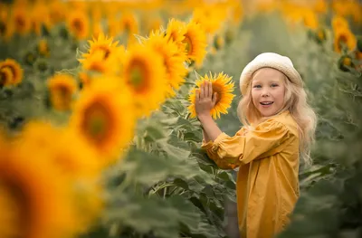 В подсолнухах. Фотограф Важенина Елена