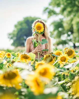 Фотосессия с подсолнухами, идеи для фотосессии, подсолнух, fotomarisha |  Sunflower field photography, Sunflower photography, Sunflower pictures