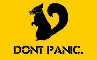 Обои на рабочий стол Don't panic Белка в противогазе, обои для рабочего  стола, скачать обои, обои бесплатно