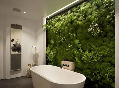 Зелень в ванной комнате - 72 фото