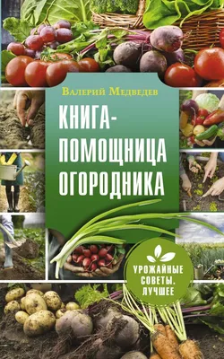 Умер главный режиссер Тобольского драматического театра Валерий Медведев -  Газета.Ru | Новости