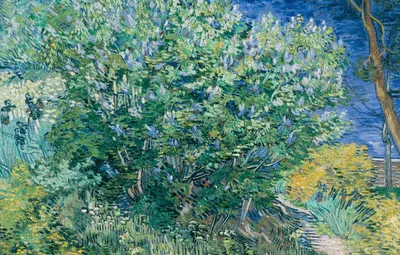 Обои пейзаж, картина, Vincent Willem van Gogh, Винсент ван Гог, Куст Сирени  картинки на рабочий стол, раздел живопись - скачать