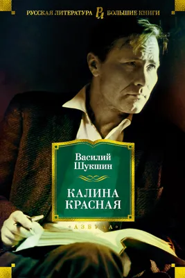 Книга Калина красная - купить классической литературы в интернет-магазинах,  цены в Москве на Мегамаркет |