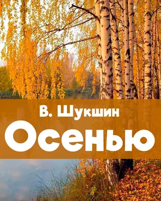 Осенью - рассказ Василия Шукшина, читать онлайн