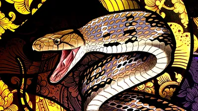 Василиск змей - 58 фото
