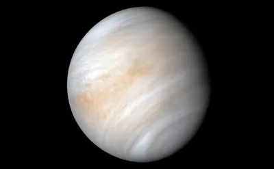 Ученые нашли потенциальный признак существования жизни на Венере — РБК