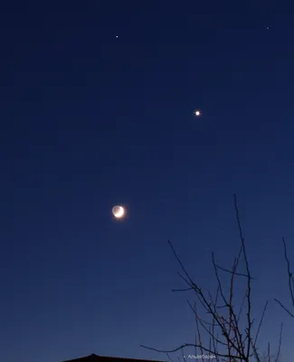 Венера на ночном небе - фото и картинки: 64 штук