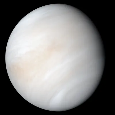 Венера — Википедия