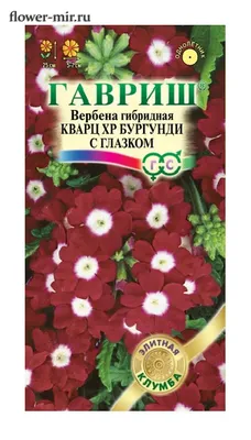 Вербена Кварц ХР Бургунди С Глазком 5 шт. купить оптом в Томске по цене  37,27 руб.