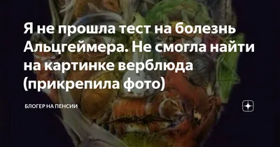 Молочная продуктивность верблюдов и технология производства шубата - лекция  4 - Аграрная социальная сеть