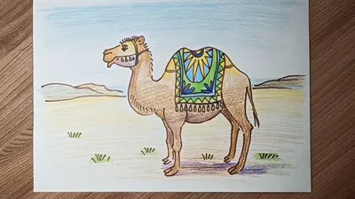 Верблюд рисунок детский - 63 фото