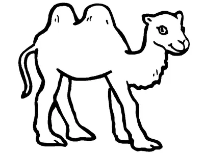 Настенный арт верблюд » maket.LaserBiz.ru - Макеты для лазерной резки