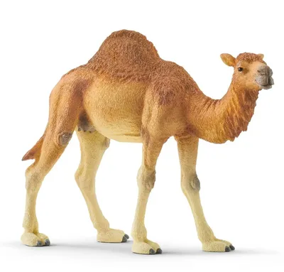 Одногорбый верблюд Schleich 14832 - купить за [sale][/sale][price]1 490  \u003cspan class\u003d\