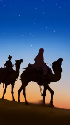 Обои Рождественский день, верблюд, арабский верблюд, пустыня, Верблюдовые  на телефон Android, 1080x1920 картинки и фото бесплатно