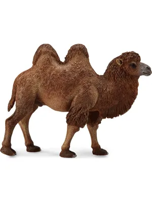 Двугорбый верблюд фигурка животного Collecta 5101026 купить в  интернет-магазине Wildberries
