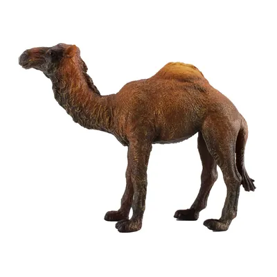 Игрушка Collecta Одногорбый верблюд фигурка животного купить по цене 587 ₽  в интернет-магазине Детский мир