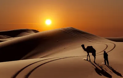 Обои солнце, барханы, люди, пустыня, верблюд картинки на рабочий стол,  раздел природа - скачать