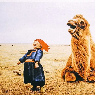Фото, покорившее мир: хохочущие девочка и верблюд - Монголия Гид