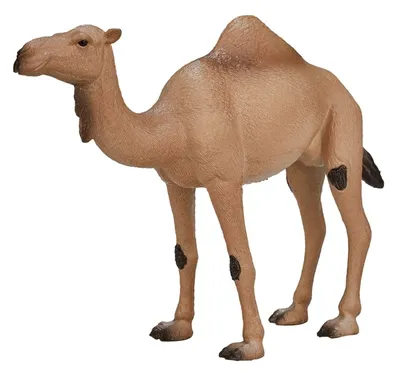 Одногорбый верблюд Konik AMW2056 - купить за [sale][/sale][price]750 \u003cspan  class\u003d\