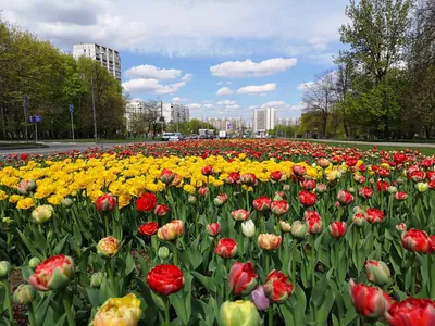 Москва весной - красивые фото