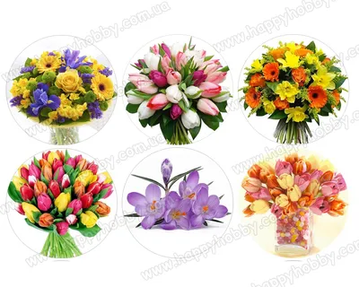 Картинки «Весенние цветы 1» для формы 8 марта (круг)