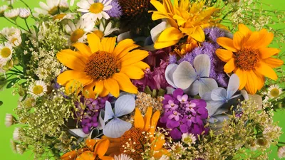 Обои Красивые весенние цветы, картинки - Обои для рабочего стола Красивые весенние  цветы фото из альбома: (цветы)