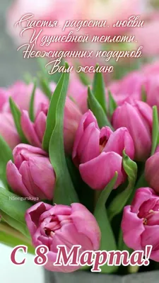 Поздравляем с 8 марта: праздник весны и женской красоты