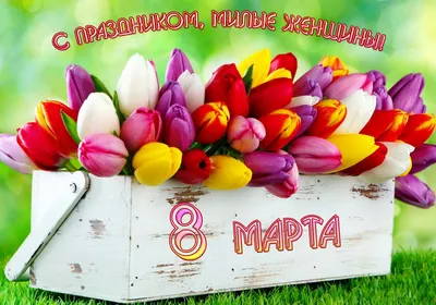 Вафельная картинка 8 Марта. Праздник Весны. Восьмое Марта 32 (А4) купить в  Украине