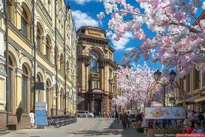 Картинки весна в москве красивые (68 фото) » Картинки и статусы про  окружающий мир вокруг