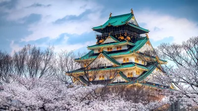 Обои город, япония, храм, небо, весна, сакура, цвет картинки на рабочий  стол, фото скачать бесплатно