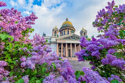 Магия северного края (музей Фаберже, Петергоф, Петропавловская крепость,  собор Св. Петра и Павла, тюрьма Трубецкого бастиона, Эрмитаж, Кронштадт, 6  дней + ж/д или авиа, осень-весна) - Экскурсионные туры в Санкт-Петербург