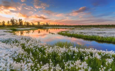 Весна в России - фото и картинки: 68 штук
