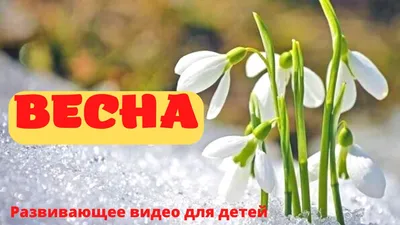 ВЕСНА! 🌱Рассказ про ВЕСНУ для детей. Русская весна. Развивающее видео для  детей - YouTube