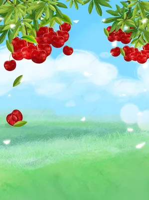 Предпосылка иллюстрации свежих фруктов вишни ветрянки, Psd фон, вишня,  Фруктовая иллюстрация фон фон картинки и Фото для бесплатной загрузки