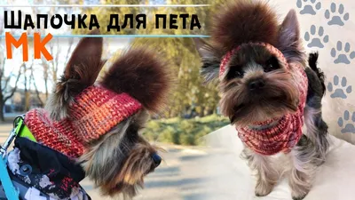Купить Милая вязаная шапка для собаки, зимняя балаклава для собаки с  красивыми ушками, вязаная зимняя собачья голова для собак, товары для  домашних животных | Joom