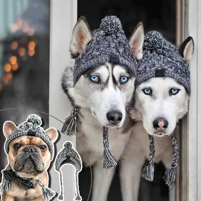 Зимняя шапка для собак чихуахуа, ветрозащитные вязаные шапки для собак на  день рождения, аксессуары для маленьких строительных звеньев, Прямая  поставка | AliExpress