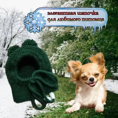 Вязаные шапки для собак, сохраняющие тепло, для холодной погоды, зимняя  фотосессия, прочная | AliExpress