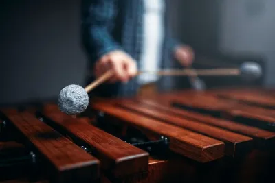 Ксилофонист руки с палками, деревянные звуки. музыкальный ударный  инструмент, вибрафон | Премиум Фото