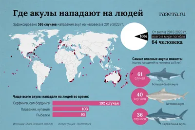 10 самых опасных акул, убивающих людей - Hi-News.ru