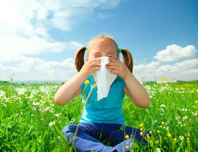 Виды аллергии на коже у взрослых и детей