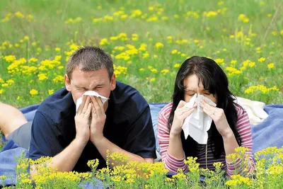Виды аллергии на коже у взрослых и детей
