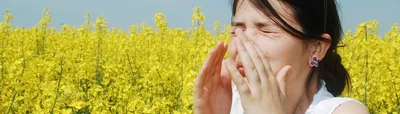 Лучшее средство от аллергии: советы врачей — Ozon Клуб