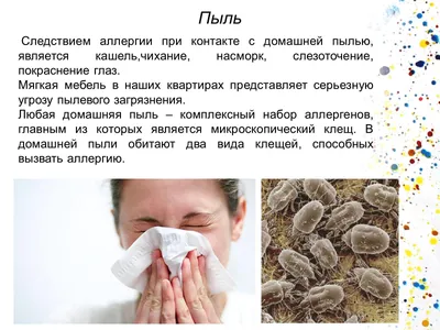 Аллергия На Пыль – Telegraph