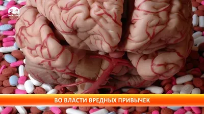 Новые виды наркотиков: появление и распространение сложно отследить - КТРК