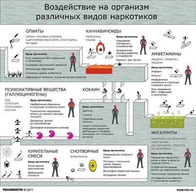 Воздействие на организм различных видов наркотиков - РИА Новости, 16.06.2011
