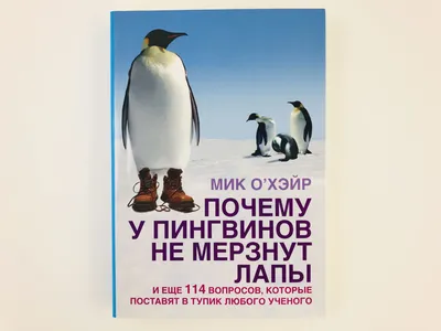 В Самаре \"поселился\" вымирающий вид пингвинов | СОВА - главные новости  Самары