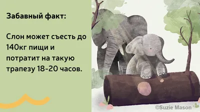 Всемирный день слонов: что мы с ними делаем | GreenPost