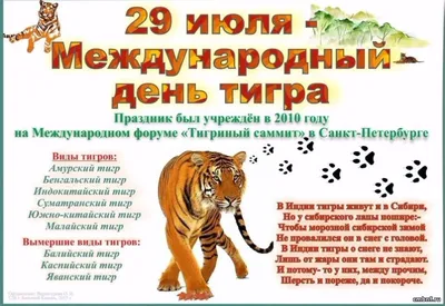 🐅 «Тигр: Все возможные виды и формы» — создано в Шедевруме